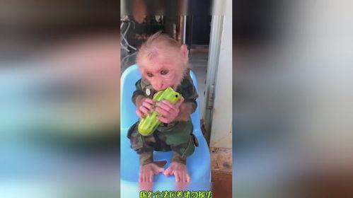 爱吃瓜吃货视频下载免费,揭秘“爱吃瓜吃货视频下载”免费福利  第1张